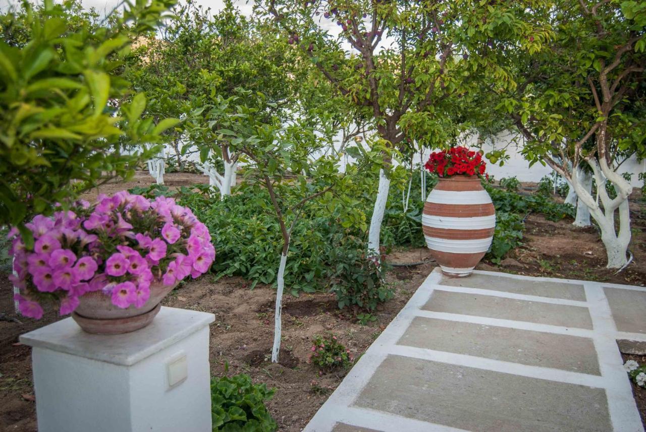 Perivoli 3-Chora Apartment Agkidia Exterior foto